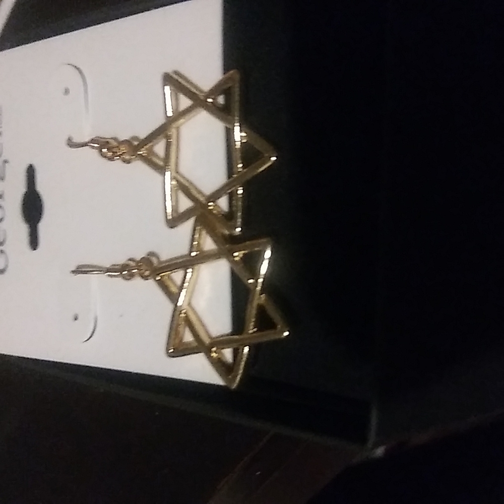 ACCESSORIES/EARRINGS - Picture 2 of 2